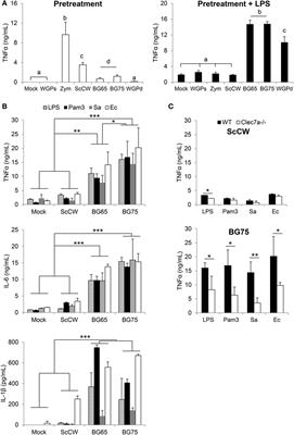 Molecular Analysis of a Short-term Model of β-Glucans-Trained Immunity Highlights the Accessory Contribution of GM-CSF in Priming Mouse Macrophages Response